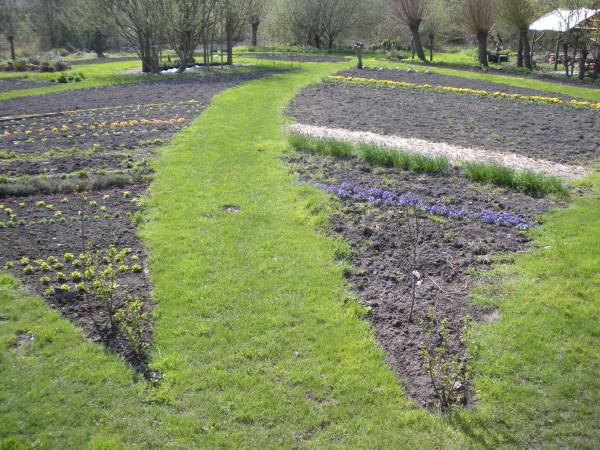 Potager 2013