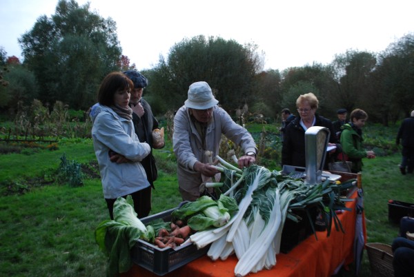 Repas au jardin